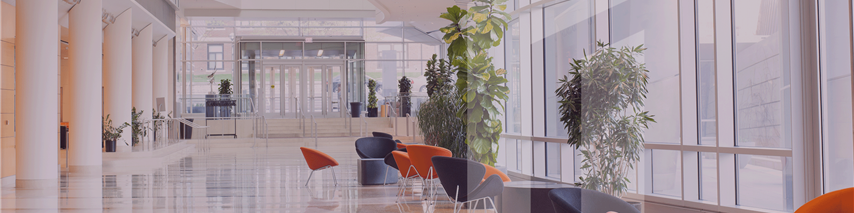 Credit Reports Landing